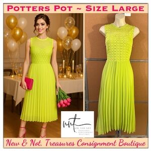 Potters Pot Accordion Pleated Chiffon & Lace Sleeveless Midi Dress – Size Large